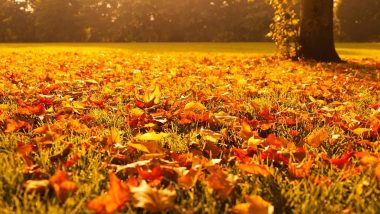 When Is the First Day of Fall 2020? Autumnal Equinox Date, Meaning and Everything to Know About September Equinox