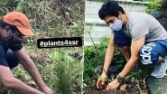 Sushant Singh Rajput's Friend Mahesh Shetty and Dil Bechara Director Mukesh Chhabra Plant Saplings in Memory Of the Late Actor (View Posts)