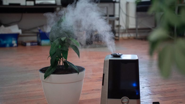 Wildfire Season 2020: From DIY Box Fan Air Purifier to Changing HVAC Filters, Know Ways to Purify Air From Smoke At Home