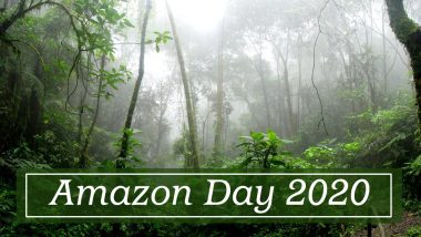 Amazon Day 2020: Know Some Fascinating Facts About the Rainforest That Will Leave You in Awe of It