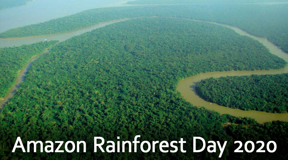 Amazon Day 2020 Date And Significance Know the History of the