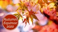 Autumnal Equinox 2020: What Happens During Spring Equinox? How Does September Equinox Affect Us? All FAQs Answered About First Day of Fall