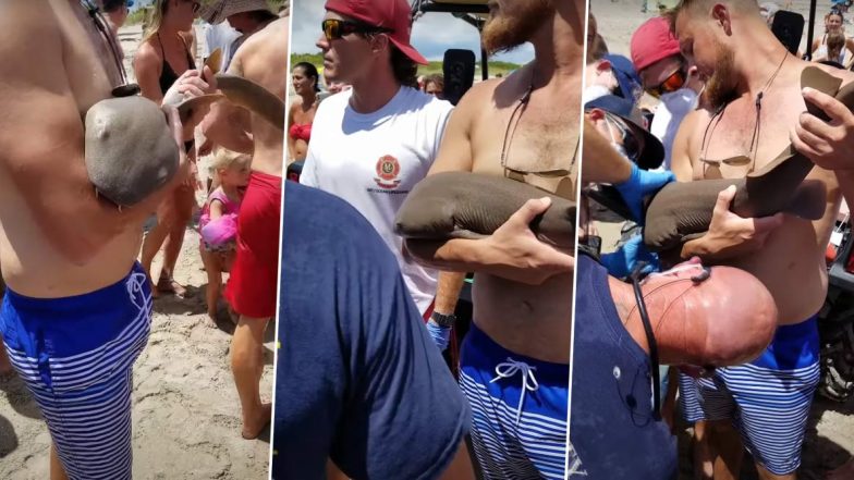 Baby Shark Latches Onto Man’s Arm at Jensen Beach in Florida and Refuses to Leave (Watch Video)