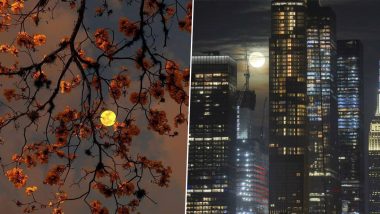 Corn Moon 2020 Graces The Night Sky! See Pictures And Videos of the September Full Moon That Happens Only Once in 3 Years