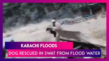 Dog Rescued In Swat From Flood Water By A Brave Man As Rains Create Havoc In Pakistan