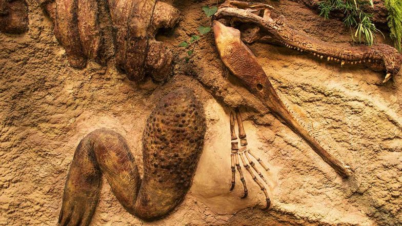 Forget 'Cloned' Dinosaur in China, Find Real Dinosaur Fossils At These 5 Places Around The World