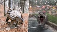 Saw Video of Dinosaur 'Clone' in China? Images and Videos of 'Real' Dinosaurs Will Make You Feel a Part of Jurassic World