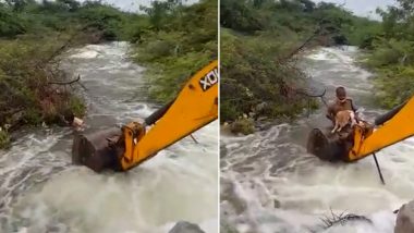 Telangana Home Guard Risks His Life to Rescue a Stray Dog Stuck in Bushes of Overflowing Nagarkurnool Stream, Twitterati Lauds The Heroic Act After Video Goes Viral