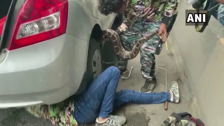 Ssscary! 10-Feet-Long Python Causes Traffic Jam on Busy Highway in Mumbai, Viral Video of the Snake Catchers Carefully Rescuing the Serpent Will Scare the Sh*t Out of You