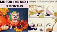 Fall 2020 Funny Memes: Express The Excitement For Halloween and Holidays With These Jokes as Your Seasons' Greetings