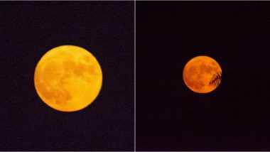 Full Corn Moon 2020: Twitterati Share Pictures and Videos of September Moon Shining Bright in the Skies From Across Countries!