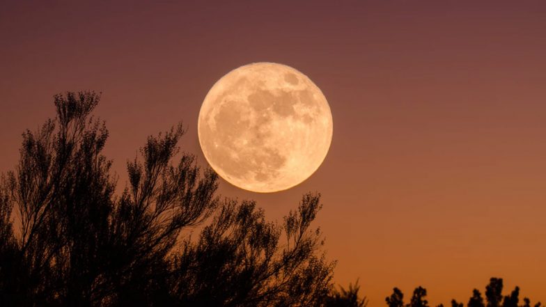 Harvest Moon 2020 Date: Know Where and How to See The First Full Moon of October That Rises Thursday Night