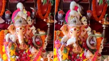 Lord Ganesha Idol Found With Live Snake and White Mice Playing, Rare 'Miracle' Video During Ganeshotsav Leaves Everyone Surprised (Watch Video)