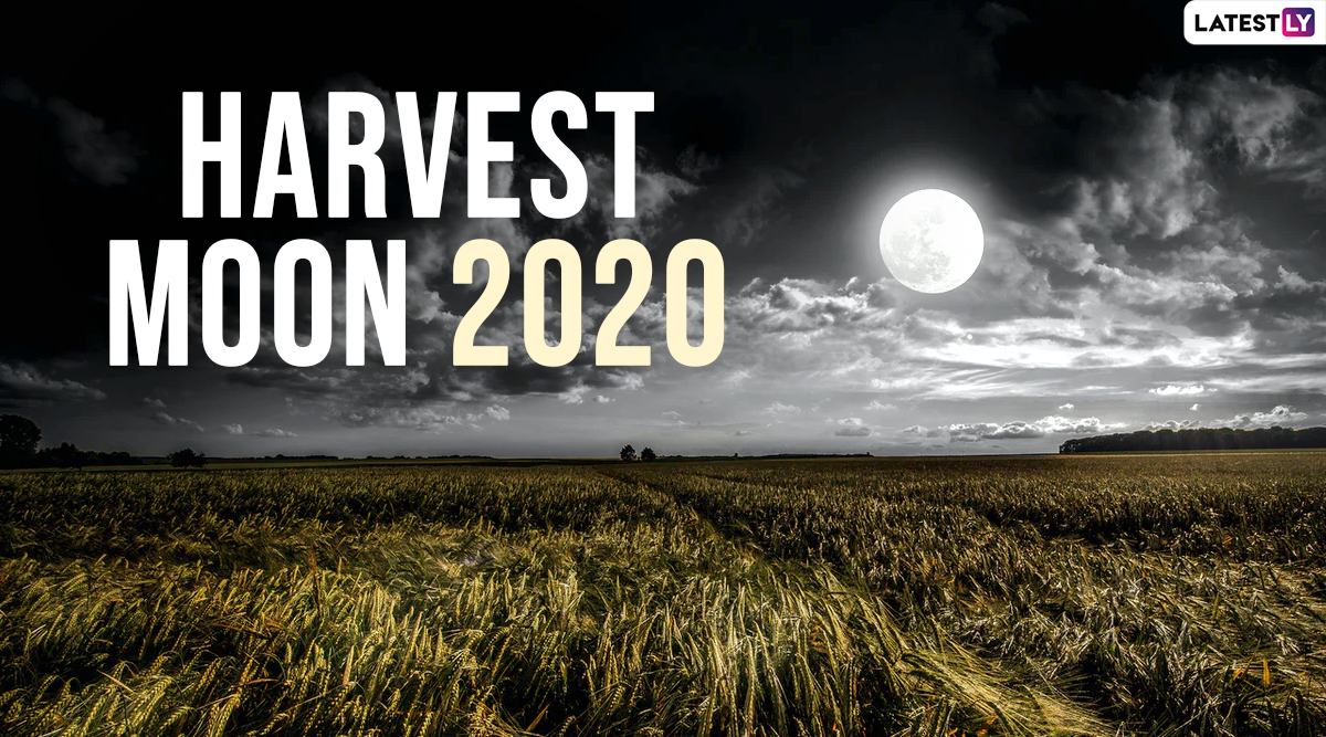 Harvest Moon 2020 Date and Time Know Everything About The Full Moon of
