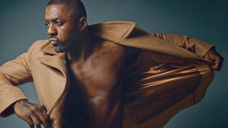 Beast: Idris Elba to Star in Survival Thriller Featuring a Lion As the Predatory Antagonist