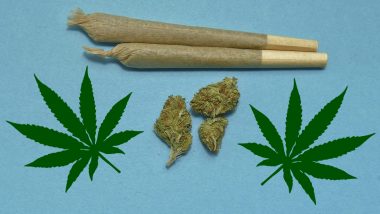 What is Difference Between Cannabis, Weed, Marijuana and Hemp? Know More About These Cannabis Plant Products and Where Are They Legal For Use?