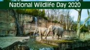 National Wildlife Day 2020 Date And Significance: Know All About the Obsrrvance That Creates Awareness About Endangered Spcies And Their Conservation