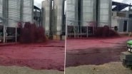 Spain: 50,000 Litres of Red Wine Goes to Waste After Defective Tank Ruptures at Bodegas Vitivinos Winery and Netizens Cannot Stop Crying Over Spilt Wine! (Watch Viral Video)