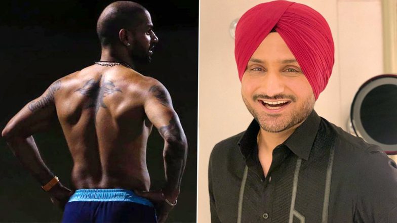 Delhi Capitals Opener Shikhar Dhawan Flaunts His Chiselled Back in Latest Instagram Pic, Harbhajan Singh Leaves Hilarious Comment