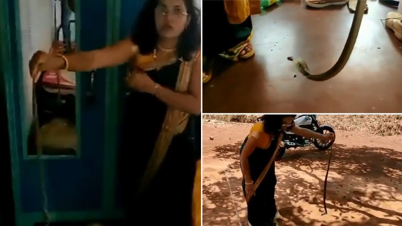 Snake Catcher Nirzara Chitti Dressed For a Wedding Goes to Rescue a Cobra Instead! Video of Her Snake Rescue in a Saree Impresses Netizens
