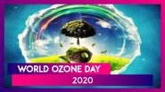 World Ozone Day 2020: From Conscious Gas Consumption To Maintaining Air Conditioners, To Shopping Locally, Ways To Protect The Ozone Layer That Shields The Earth From Sun&rsquo;s Ultraviolet Rays