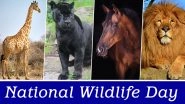 National Wildlife Day (US) 2020: 10 Incredibly Fascinating Facts About Wild Animals That Will Change The Way You Look at the Animal Kingdom