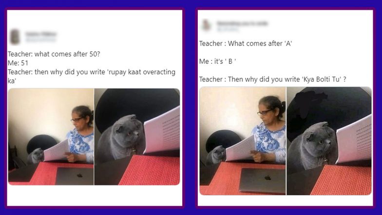 'Teacher: What Comes After...' is Latest Funny Memes Trend: Check Hilarious Jokes on Woman Showing Papers to Cat Meme Format