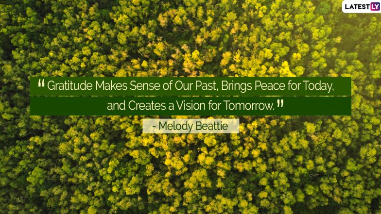 World Gratitude Day 2020 Quotes & HD Images: Thoughtful Sayings About Being Thankful to Share With Your Loved Ones