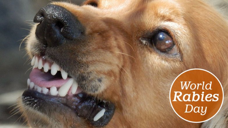 World Rabies Day 2020 Myths and Facts: From Transmission to Vaccination, Misconception That MUST Be Put an End To