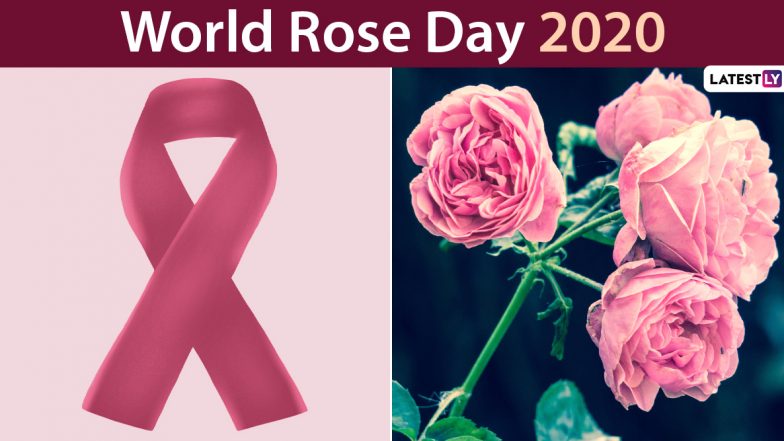 World Rose Day 2020 Wishes and Images Trend Online: Know About This Day Marked in Support of Cancer Patients and Messages to Send Them