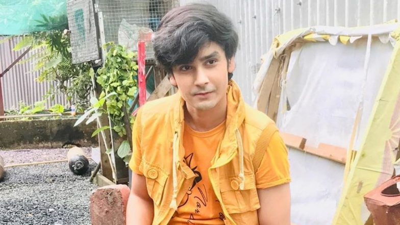 Happu Ki Paltan Star Sanjay Choudhary Robbed in Daylight, Actor Narrates Ordeal on Instagram (Watch Video)