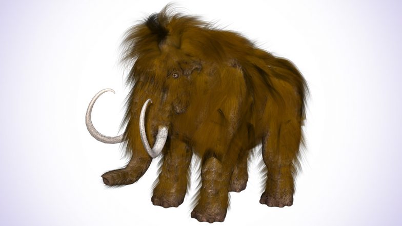 Mammoth Discovery! Over 200 Skeletons of Giant Animals From Ice Age Found in Mexico City's Airport Construction Site