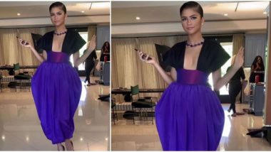 Emmys 2020: Zendaya is all Things Charming in Her Christopher John Rogers Dress for the Ceremony (View Pic)