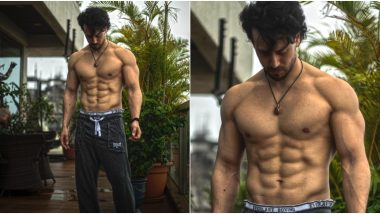 Tiger Shroff Shares a New Shirtless Pic and His Washboard Abs Deserve Attention