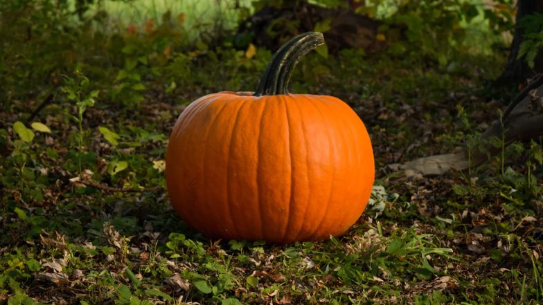 National Pumpkin Day 2020 Facts: Did You Know Pumpkin Is Not the First Jack-o’-Lantern? 7 Interesting Things About the Winter Squash You May Not Have Known!