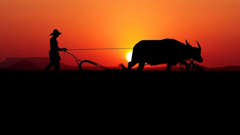 National Farmers' Day 2020 Date, History and Significance