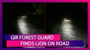Midnight Encounter With A Lion: Gir Forest Guard Faces Down King Of The Jungle In Viral Video From Gir Lion Sanctuary In Gujarat