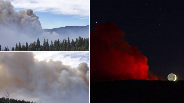 Luna Fire in Pics and Videos: Hot, Dry & Breezy Conditions Challenge Fire Containment Efforts in New Mexico, Wildfire Season in US Continues to Create Disastrous Situation