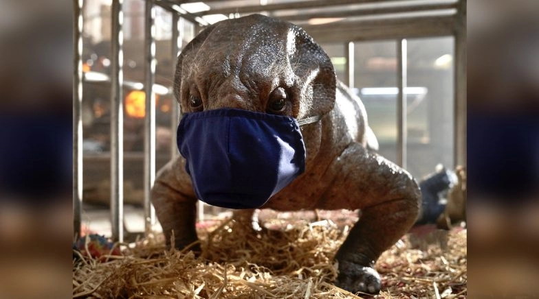 Jurassic World: Dominion Halts Production After Few Crew Members Test COVID-19 Positive on Sets