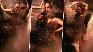 Malaika Arora Turns Into a Glittery Hottie In This Glamorous Photoshoot! (View Pics)