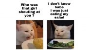 National Cat Day 2020 Funny Memes: These Hilarious Jokes, Viral Cat Memes and Social Media Posts Are &lsquo;Pawsome&rsquo; to Celebrate Your Feline Buddies!