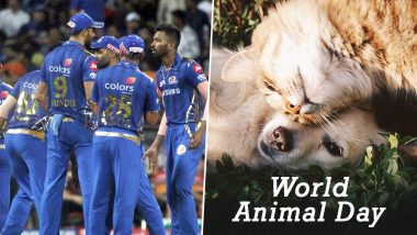 Rohit Sharma, Krunal Pandya & Other Mumbai Indians Players Speak About Their Love For Pets on World Animal Day Ahead of MI vs SRH, IPL 2020 (Watch Video)
