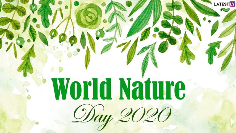 World Nature Day 2020 HD Images, Wishes & Greetings: Share WhatsApp Stickers, GIF Images, Pics of Mountains, Beaches and Other Natural Spaces with Quotes to Celebrate the Day!