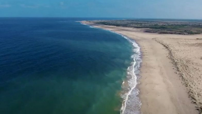 'Blue Flag' Certification Accorded to 8 Beaches of India; Check Names And Know More About The Coveted Eco-Label