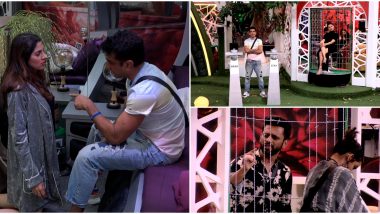 Bigg Boss 14 October 30 Synopsis: Safe Green Zone or Dangerous Red Zone: Tabadla Task Will See All the Issues Of Bigg Boss Contestants Come Out