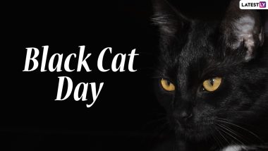 National Black Cat Day 2020: These HD Photos and Wallpapers of Black Cats Will Inspire You to Adopt a Black Kitty