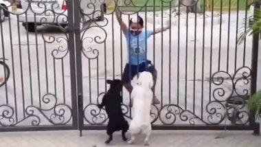 Hilarious Video of Litte Boy Teaching Dance Moves to Two Excited Puppies Go Viral And Netizens Can't Stop Laughing!
