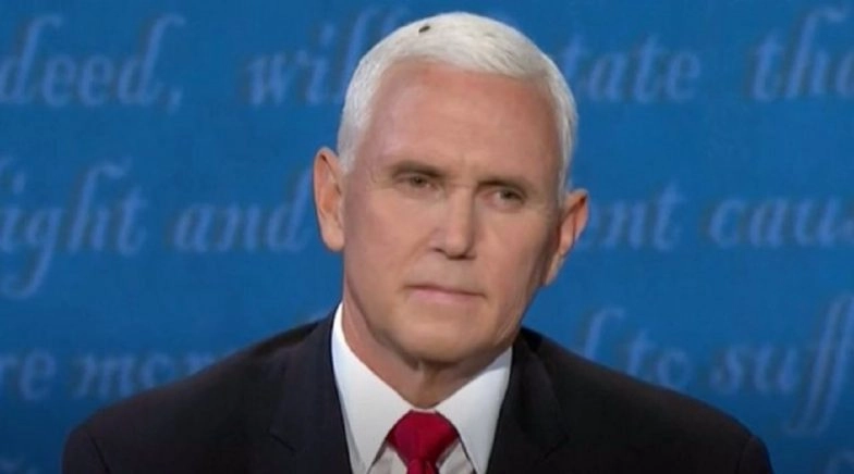 Giant Black Fly Sits Atop Mike Pence’s White Head, Steals Show at VP Debate