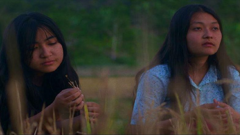 Green Blackberries Shown At Dharamshala Film Festival 2020