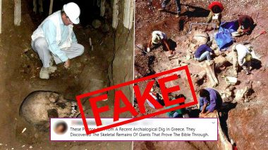 Skeletal Remains of Giants Uncovered in Recent Archaeological Dig in Greece Are Fake! Know Truth About These Old Pics That Have Resurfaced Online